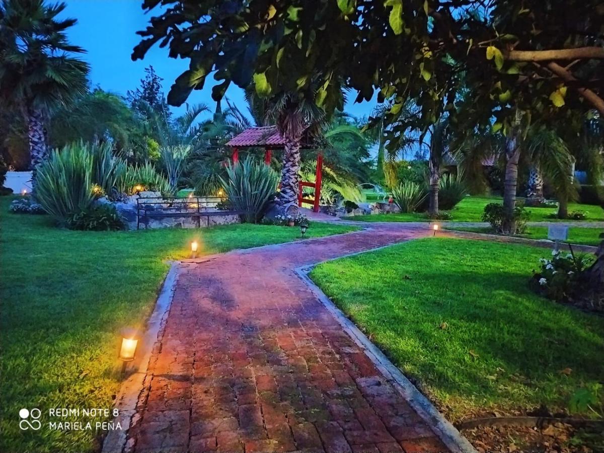 Hotel Palmas Teotihuacan San Juan Teotihuacán Buitenkant foto