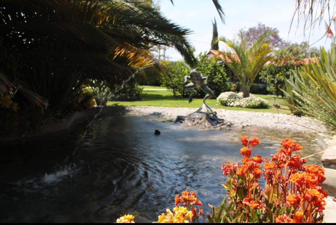 Hotel Palmas Teotihuacan San Juan Teotihuacán Buitenkant foto